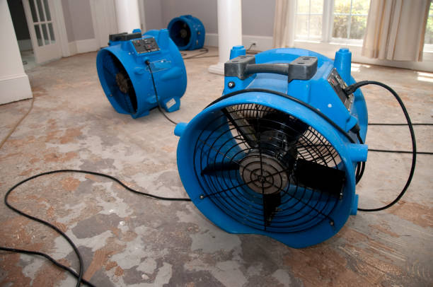 Best Water damage cleanup near me  in Rio Hondo, TX