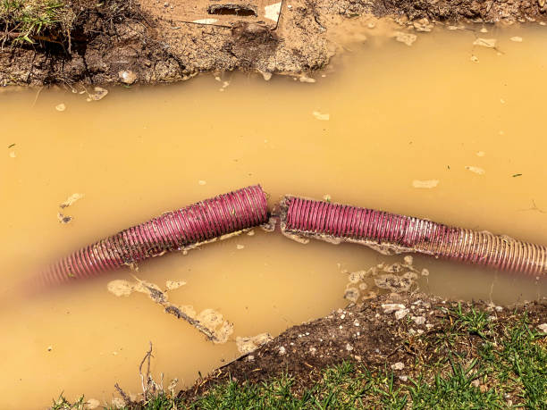 Best Basement water damage restoration  in Rio Hondo, TX