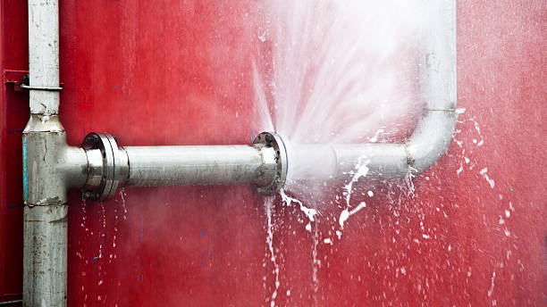Best Basement water damage restoration  in Rio Hondo, TX